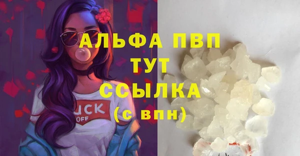 apvp Алзамай