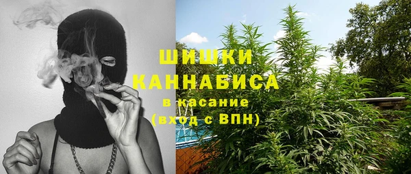 сатива Алексеевка