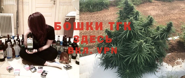 apvp Алзамай