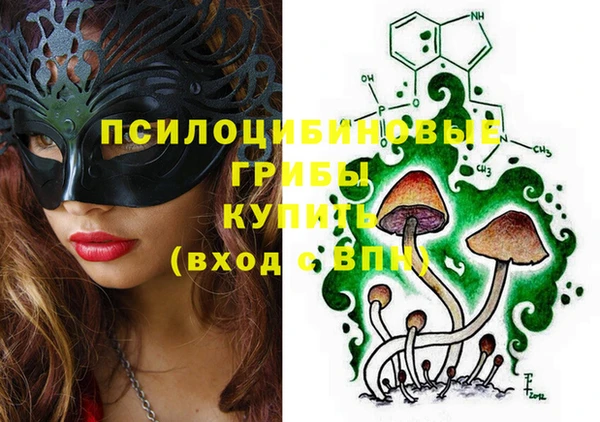 apvp Алзамай